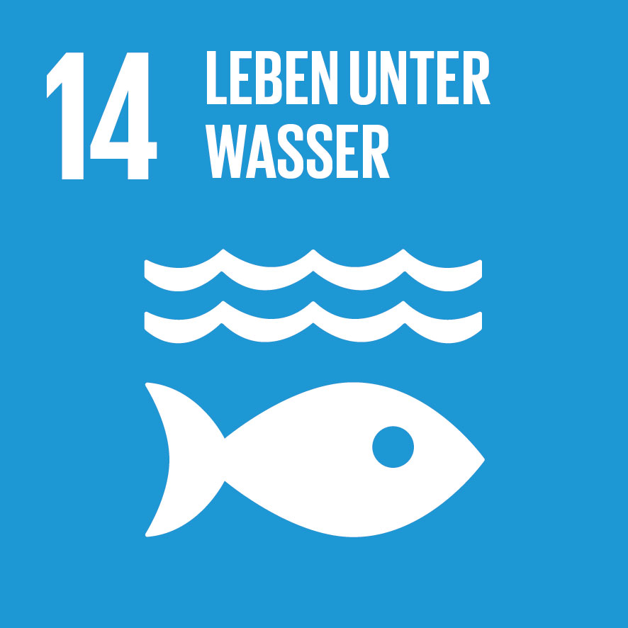 Sustainable Development Goals icons 14