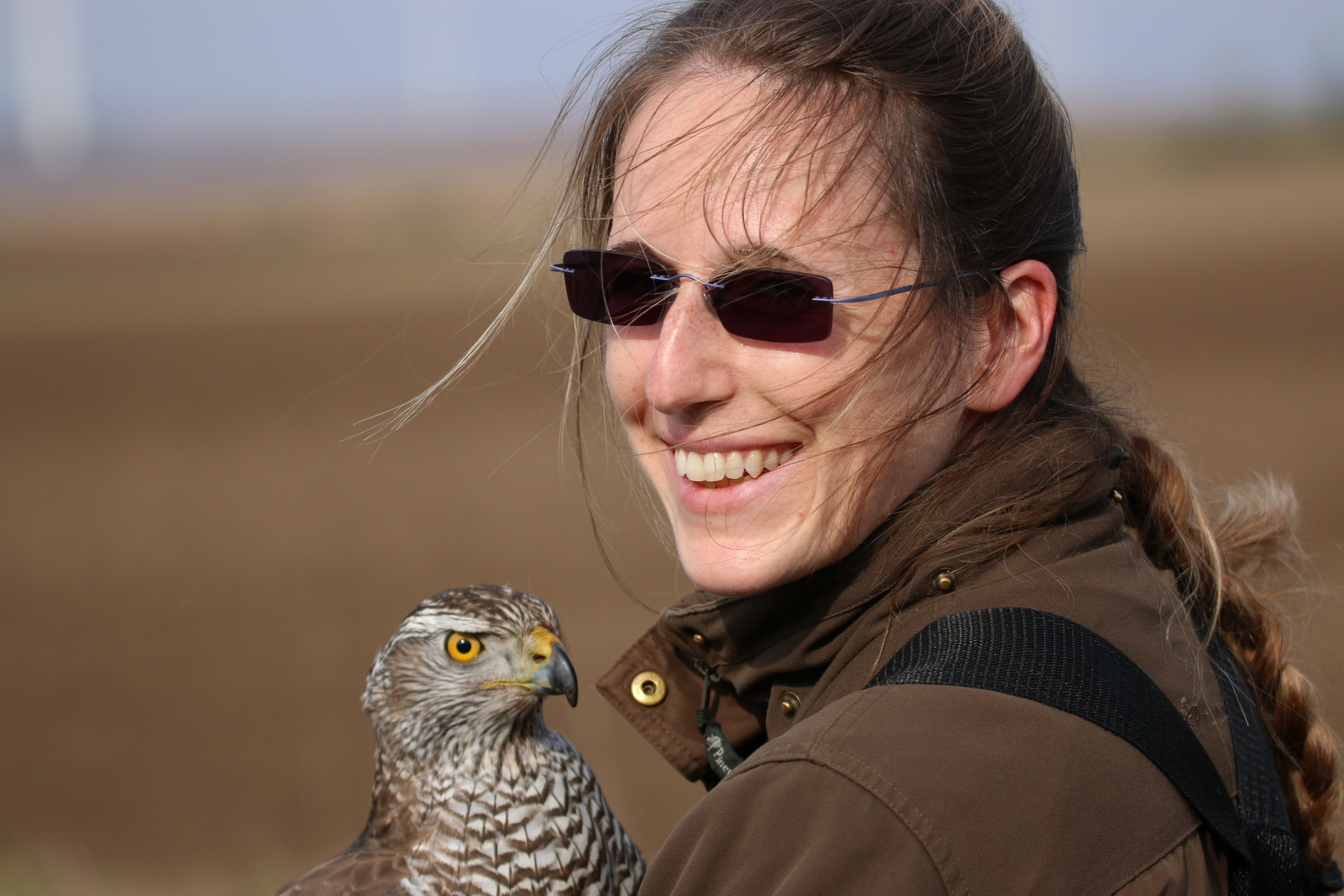 NÖ Falknerei- und Greifvogelzentrum (Lower Austrian Falconry and Bird of Prey  Centre)