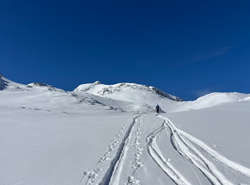 Schneedecke des Hochköniggletschers im März 2025