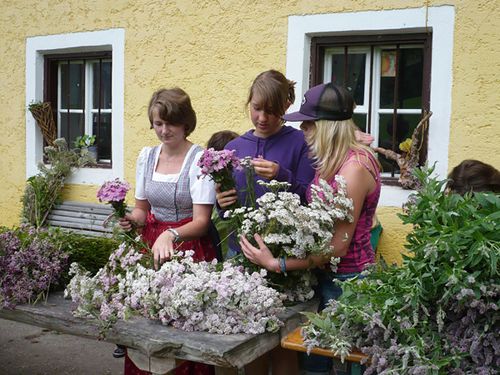 Local Healing Knowledge in the Pinzgau Region