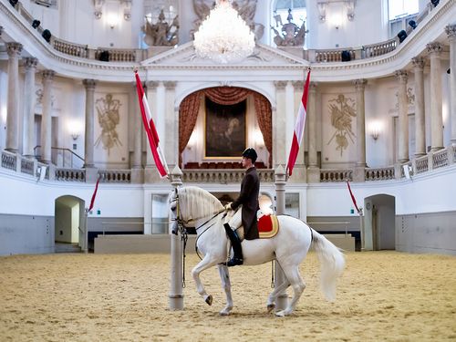 Classical Horsemanship and the High School of the Spanish Riding School Vienna