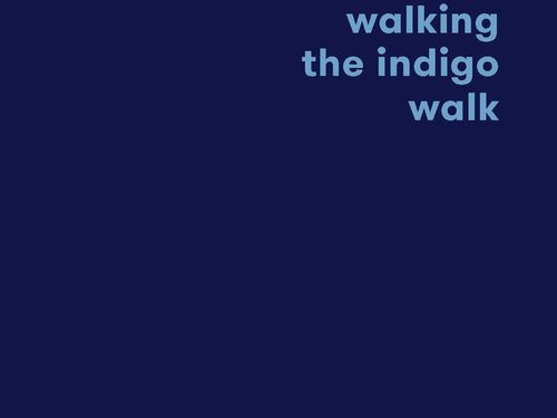 walking the indigo walk