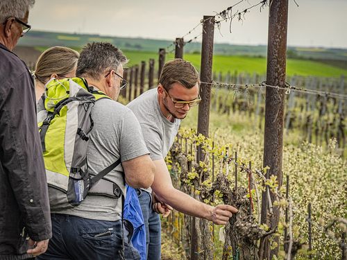 Die Gewinner*innen stehen fest - 1. Platz des europäischen "Wiki Loves Living Heritage" Fotowettbewerbs geht an Österreich