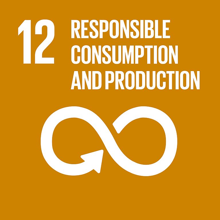 Goal 12: Ensure sustainable consumption and production patterns